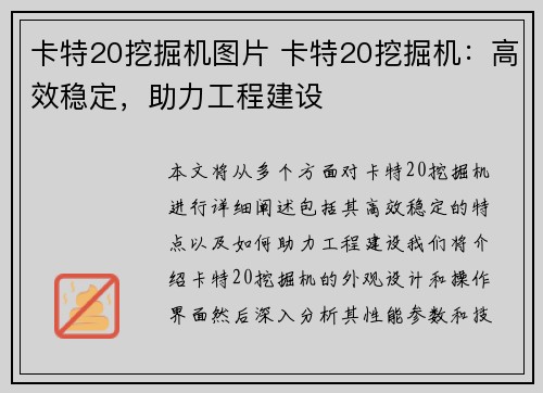 卡特20挖掘机图片 卡特20挖掘机：高效稳定，助力工程建设