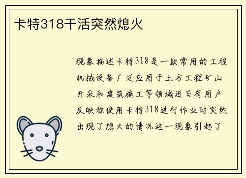 卡特318干活突然熄火